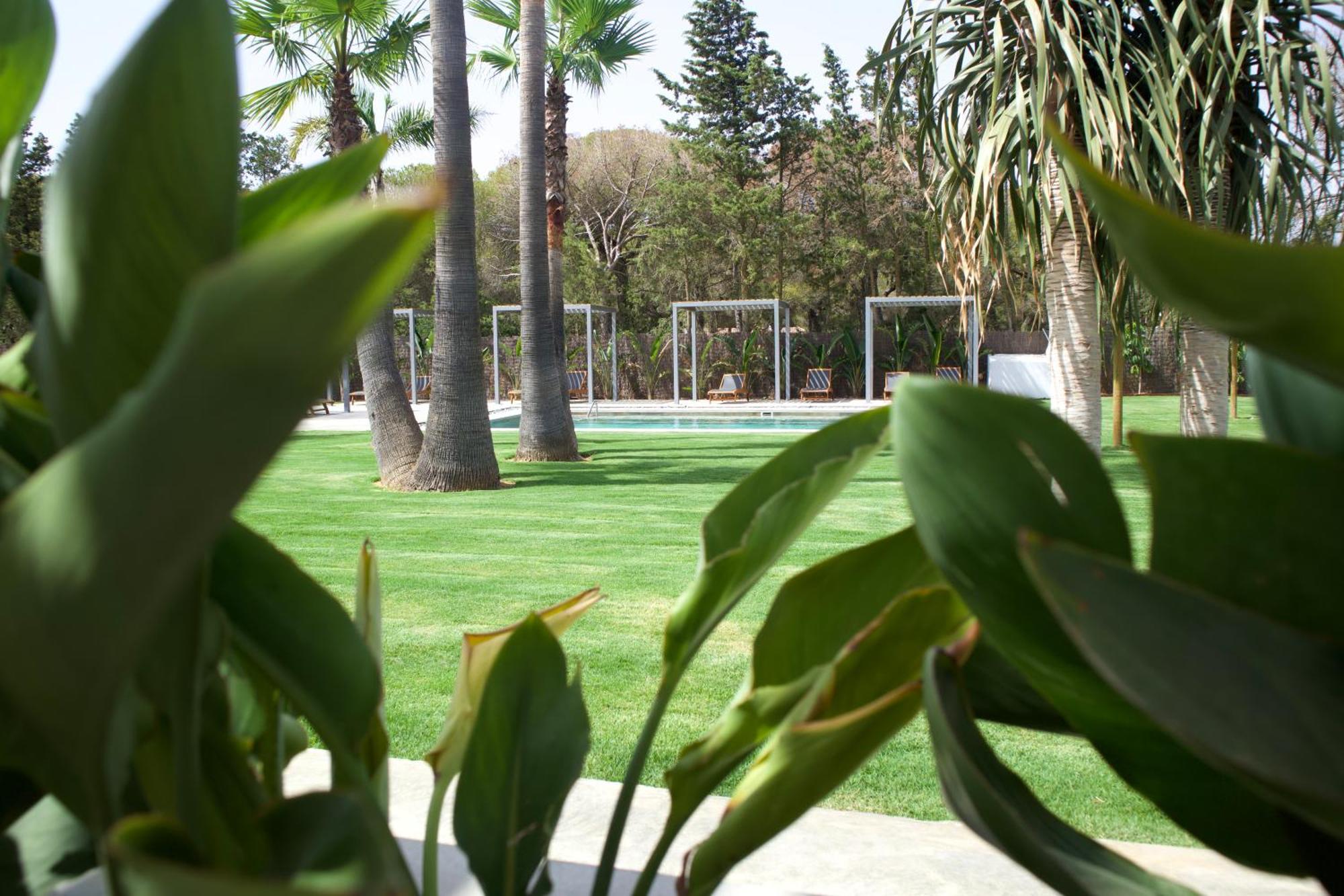 Alojamiento Rural Finca Azucena Suite Conil De La Frontera Esterno foto